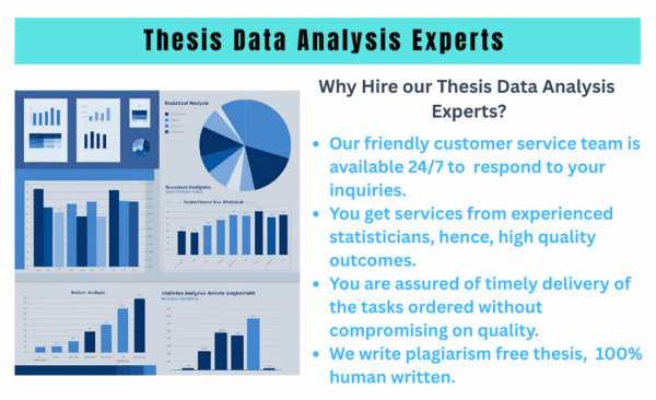 Thesis Data Analysis Services from Experts
